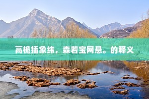 高桅插象纬，森若宝网悬。的释义