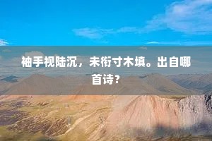 袖手视陆沉，未衔寸木填。出自哪首诗？