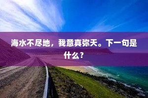 海水不尽地，我意真弥天。下一句是什么？