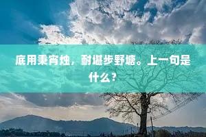 底用秉宵烛，耐堪步野塘。上一句是什么？