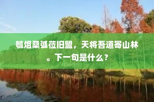 瓠俎桑弧莅旧盟，天将吾道寄山林。下一句是什么？