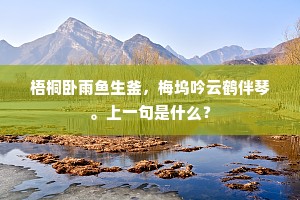 梧桐卧雨鱼生釜，梅坞吟云鹤伴琴。上一句是什么？