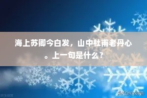 海上苏卿今白发，山中杜甫老丹心。上一句是什么？