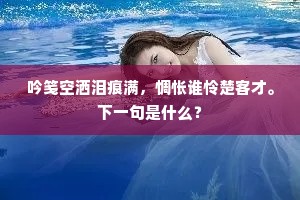 吟笺空洒泪痕满，惆怅谁怜楚客才。下一句是什么？
