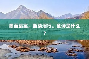 墨面缟裳，断续泪行。全诗是什么？