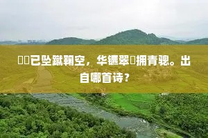 鞦韆已坠蹴鞠空，华镳翠鞁拥青骢。出自哪首诗？