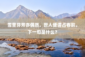 雪里芬芳亦偶然，世人便谓占春前。下一句是什么？