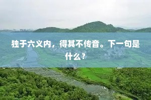 独于六义内，得其不传音。下一句是什么？