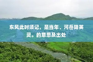 东风此时须记，是当年、河岳降英灵。的意思及出处