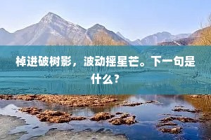 棹进破树影，波动摇星芒。下一句是什么？