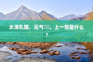 太清孔阳，元气絪缊。上一句是什么？