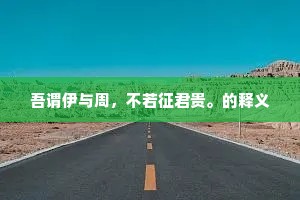吾谓伊与周，不若征君贵。的释义