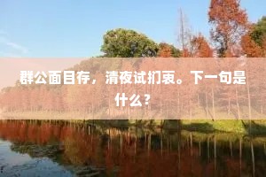 群公面目存，清夜试扪衷。下一句是什么？