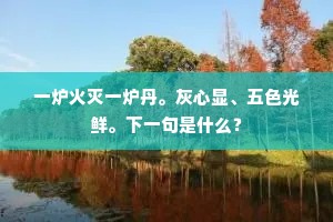 一炉火灭一炉丹。灰心显、五色光鲜。下一句是什么？