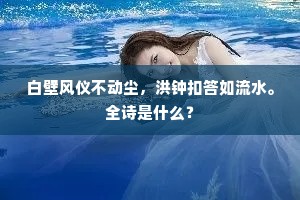 白壁风仪不动尘，洪钟扣答如流水。全诗是什么？