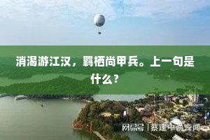 消渴游江汉，羁栖尚甲兵。上一句是什么？