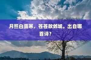 月照白露寒，苍苍故邺城。出自哪首诗？