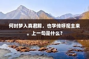 何时梦入真君殿，也学传呼观主来。上一句是什么？