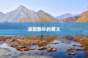 浇醇散朴的释义