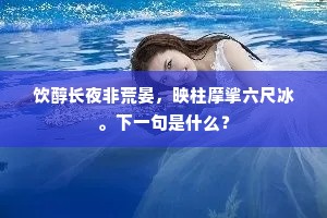饮醇长夜非荒晏，映柱摩挲六尺冰。下一句是什么？