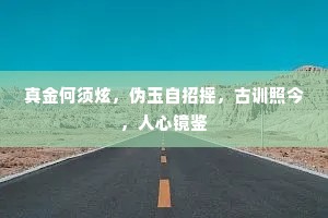 真金何须炫，伪玉自招摇，古训照今，人心镜鉴