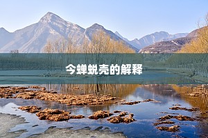 今蝉蜕壳的解释