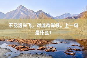 不觉逸兴飞，对此欲岸帻。上一句是什么？