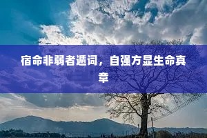 宿命非弱者遁词，自强方显生命真章