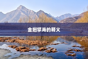 金翅擘海的释义
