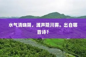 水气清晓阴，滩声隐川雾。出自哪首诗？