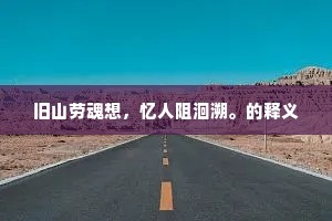 旧山劳魂想，忆人阻洄溯。的释义