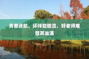 青春迷航，坏伴如暗流，好老师难敌其汹涌