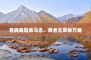 苍蝇难阻奔马志，勇者无畏破万难