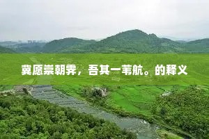 冀愿崇朝霁，吾其一苇航。的释义