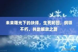 未来曙光下的抉择，生死轮回，纲领不朽，共赴解放之路