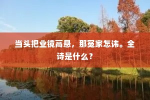 当头把业镜高悬，那冤家怎讳。全诗是什么？