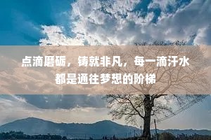 点滴磨砺，铸就非凡，每一滴汗水都是通往梦想的阶梯