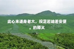 此心未遂身老大，投足岩岫差安便。的释义