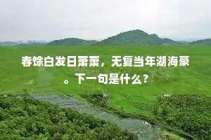 春馀白发日萧萧，无复当年湖海豪。下一句是什么？
