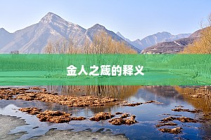 金人之箴的释义