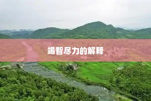 竭智尽力的解释