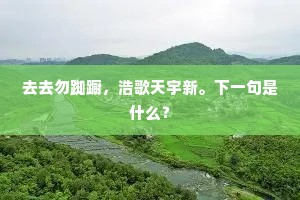 去去勿踟蹰，浩歌天宇新。下一句是什么？
