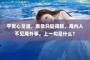 平常心是道，南泉只眨得眼，庵内人不见庵外事。上一句是什么？
