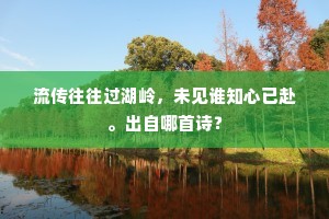 流传往往过湖岭，未见谁知心已赴。出自哪首诗？