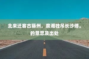 北来迁客古藤州，度湘独吊长沙傅。的意思及出处