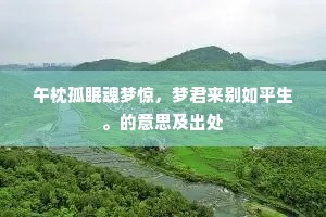 午枕孤眠魂梦惊，梦君来别如平生。的意思及出处