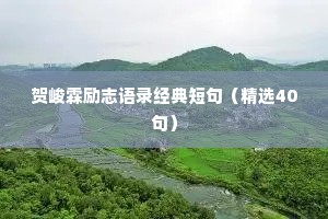 贺峻霖励志语录经典短句（精选40句）