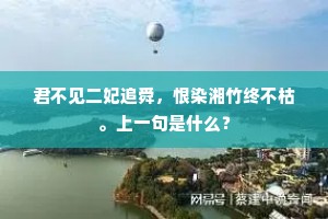 君不见二妃追舜，恨染湘竹终不枯。上一句是什么？