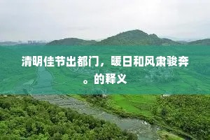 清明佳节出都门，暖日和风肃骏奔。的释义