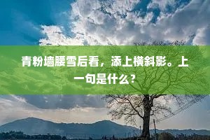 青粉墙腰雪后看，添上横斜影。上一句是什么？